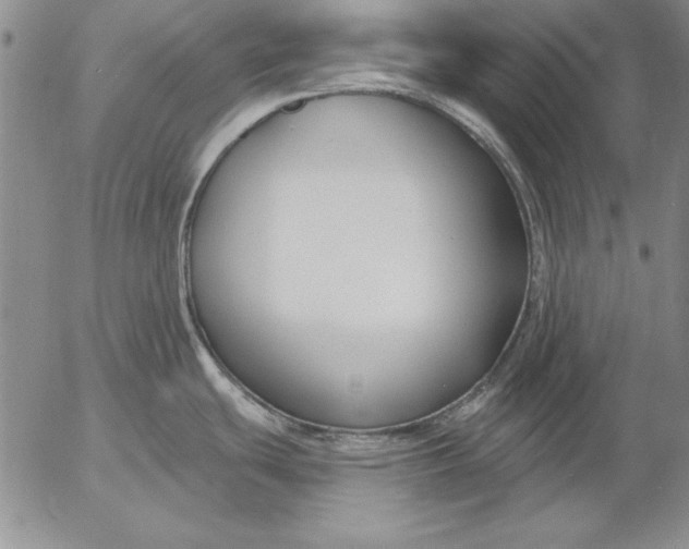 X0000053001439200507291631