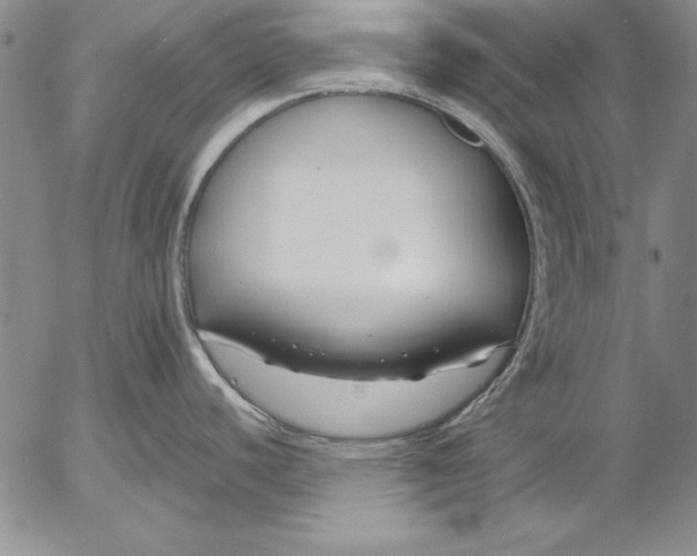 X0000053001440200507291631