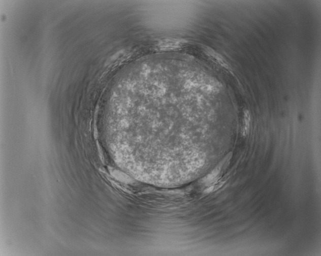 X0000053001441200507291630