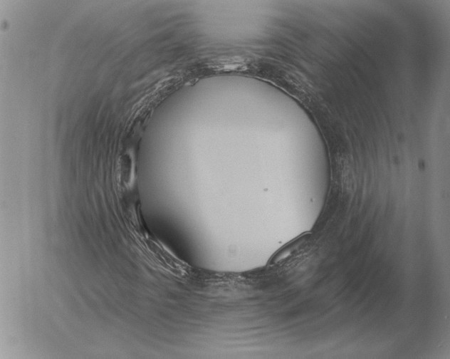 X0000053001442200507291630