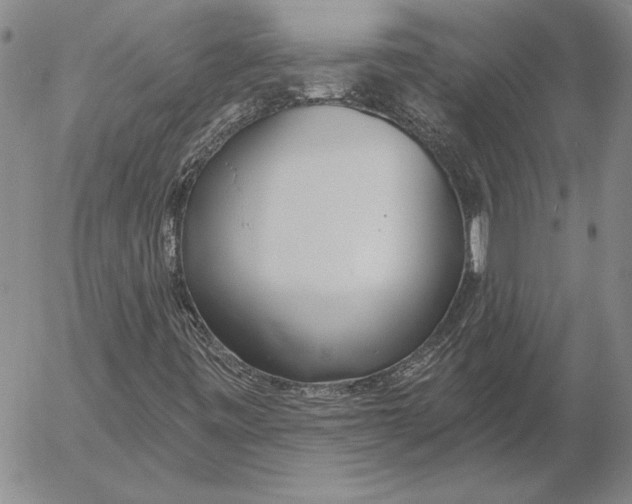 X0000053001443200507291630