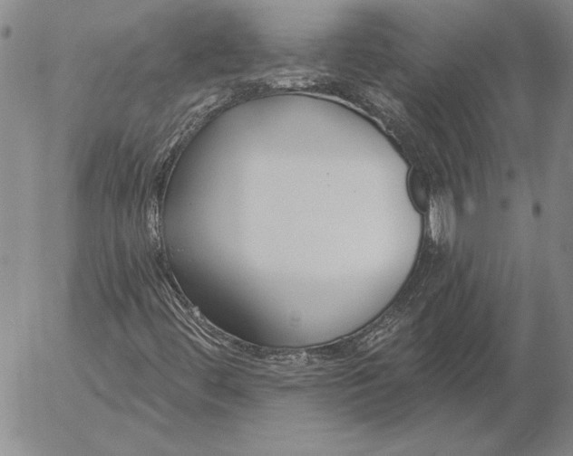 X0000053001444200507291630