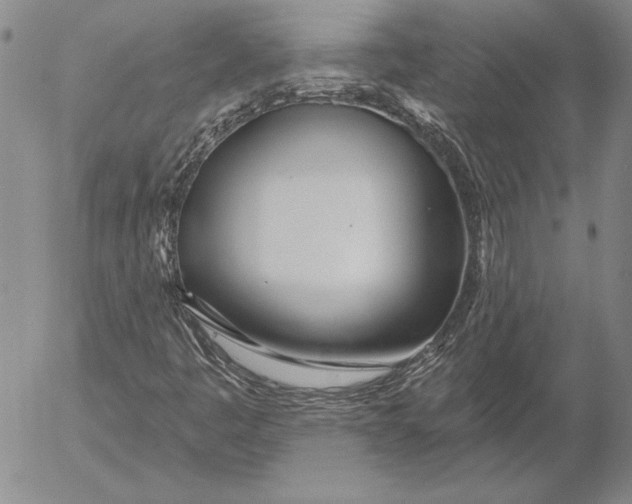 X0000053001445200507291630