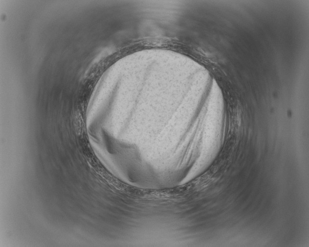 X0000053001446200507291630