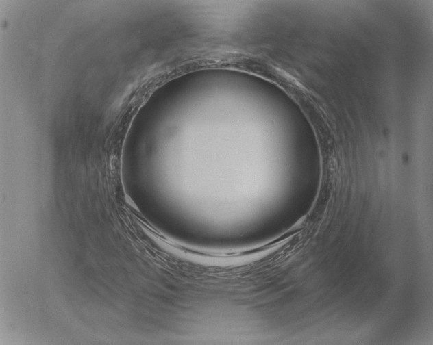 X0000053001447200507291630