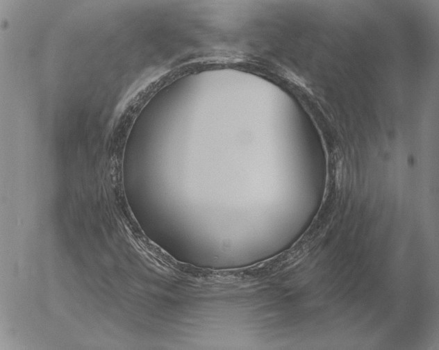 X0000053001448200507291630