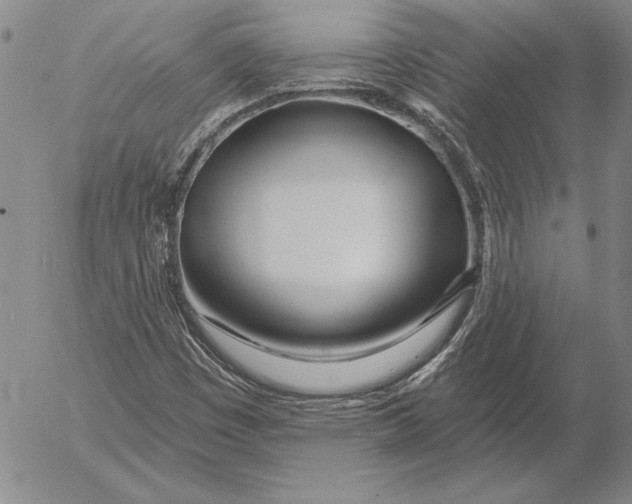 X0000053001449200507291630