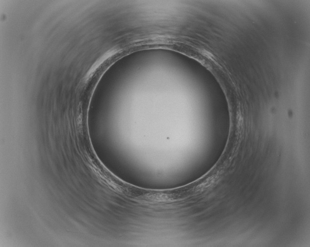 X0000053001450200507291630