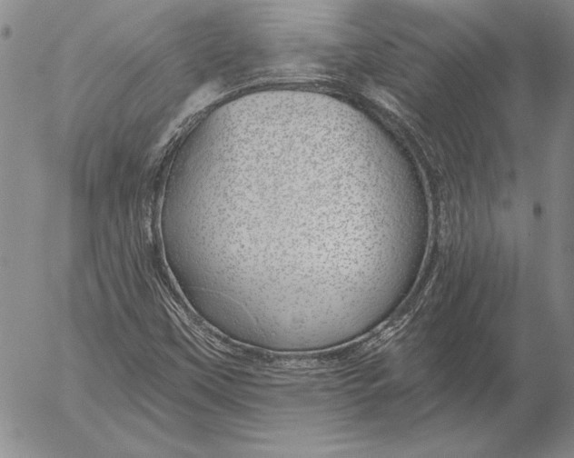 X0000053001451200507291630