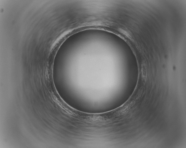 X0000053001452200507291630