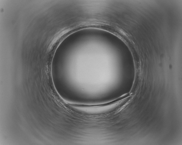 X0000053001453200507291630