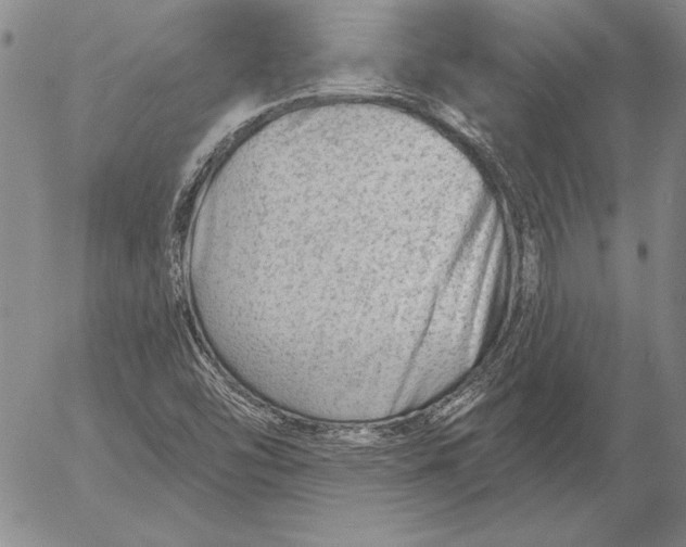 X0000053001454200507291630