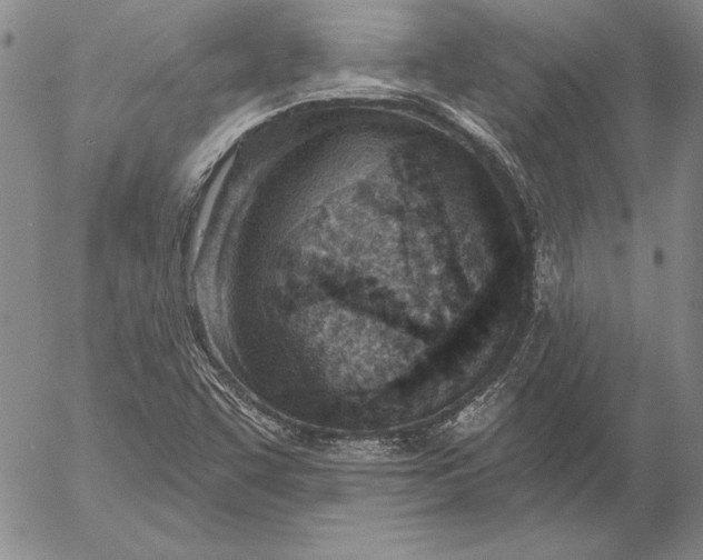 X0000053001455200507291630