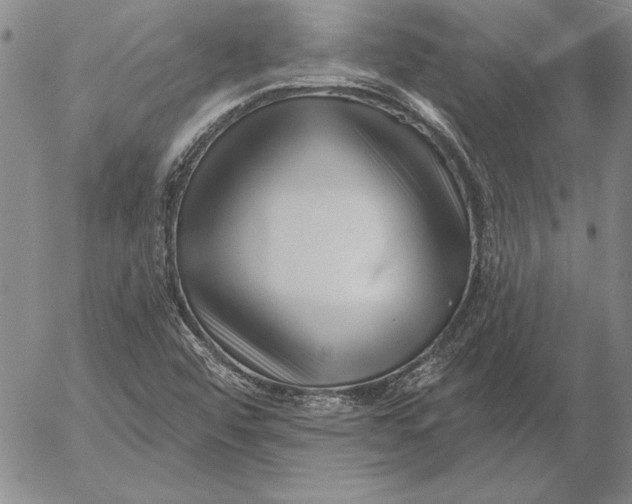 X0000053001456200507291630