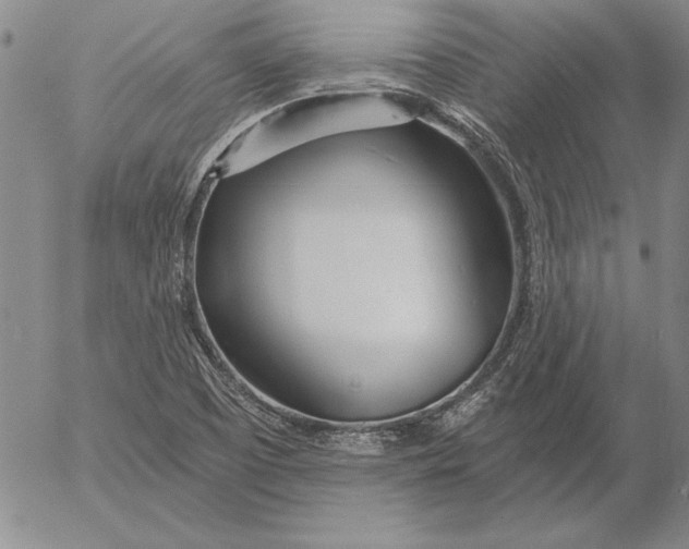 X0000053001457200507291630