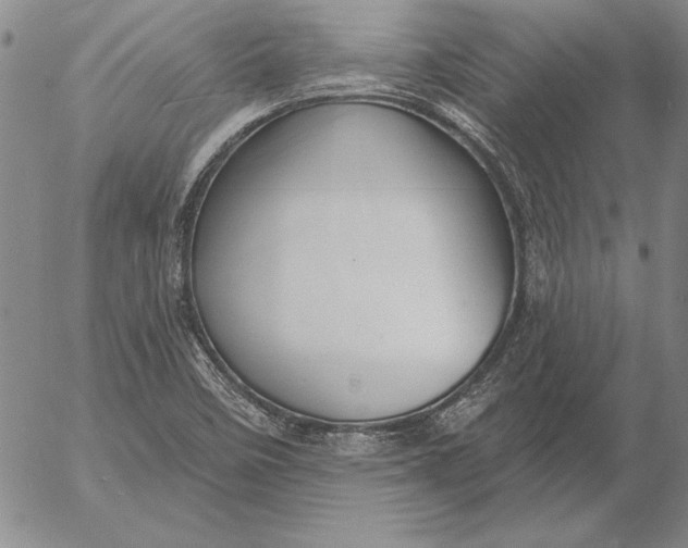 X0000053001458200507291630