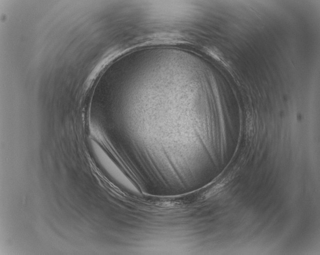 X0000053001459200507291630