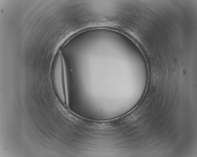 X0000053001460200507291630