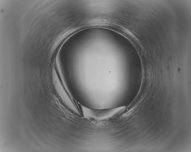 X0000053001461200507291630