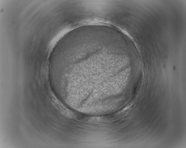 X0000053001463200507291630