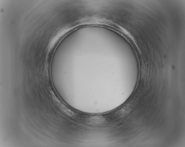 X0000053001464200507291630