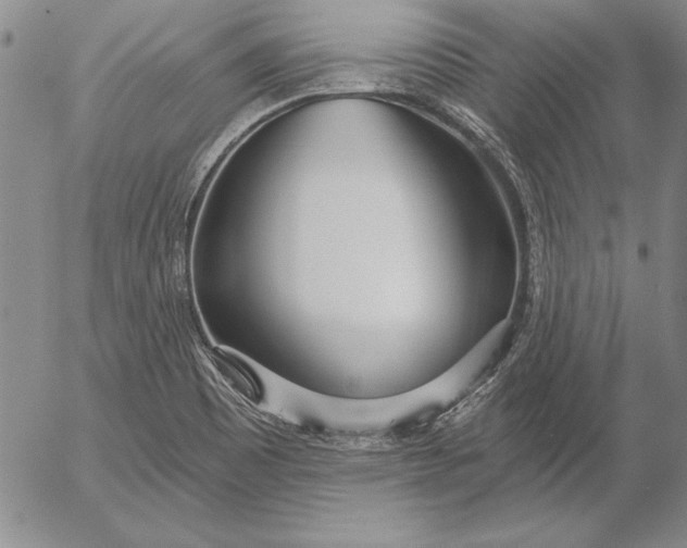 X0000053001465200507291630