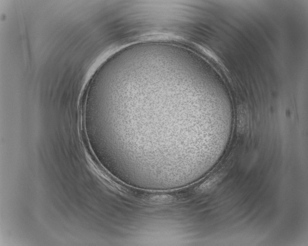 X0000053001467200507291630