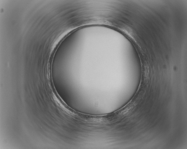 X0000053001468200507291630