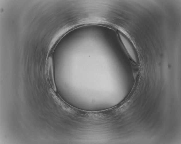 X0000053001469200507291630