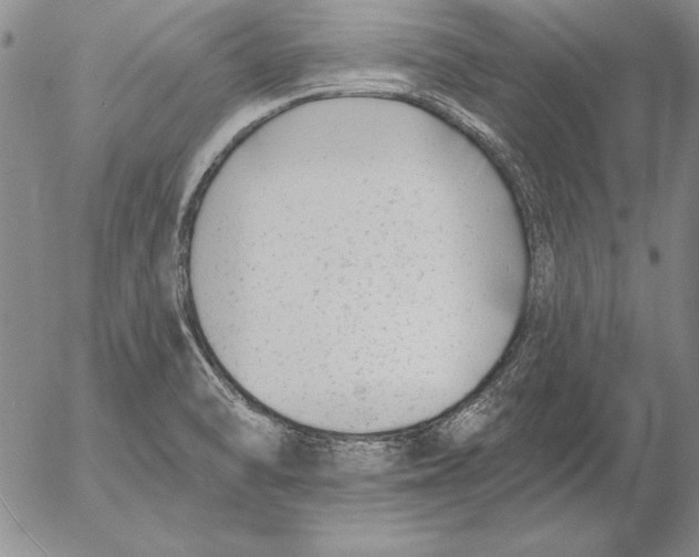 X0000053001470200507291630