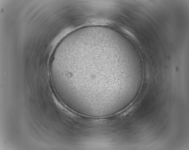 X0000053001471200507291630