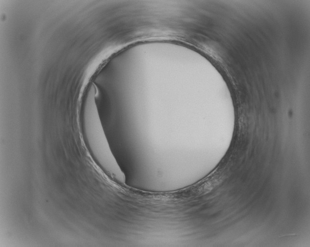 X0000053001472200507291630