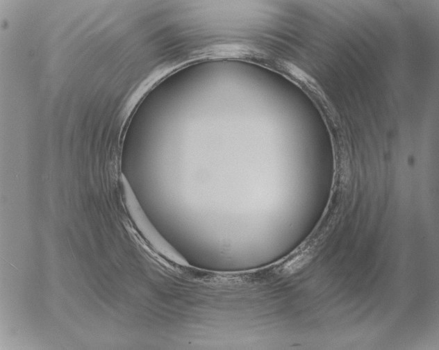 X0000053001473200507291630