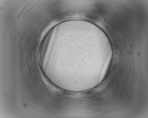 X0000053001474200507291630