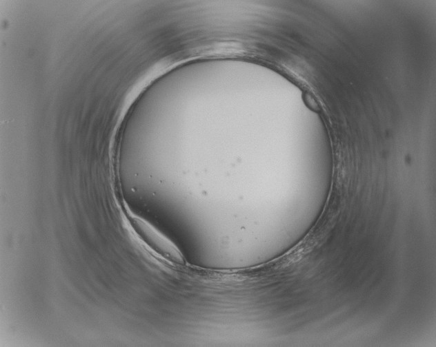 X0000053001475200507291630