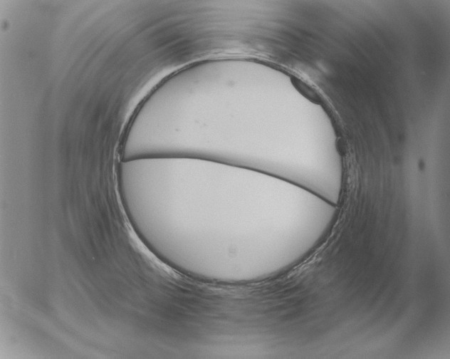 X0000053001476200507291630