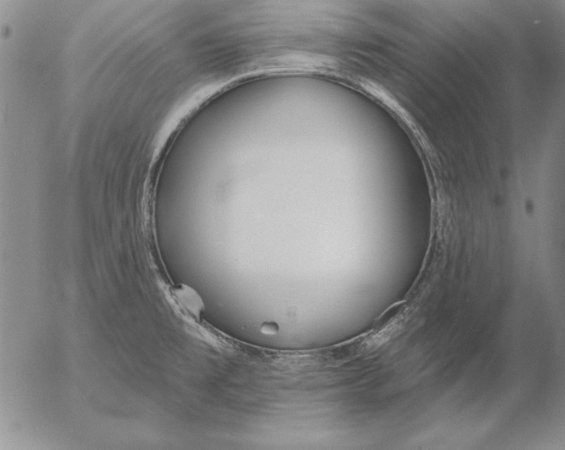 X0000053001477200507291630