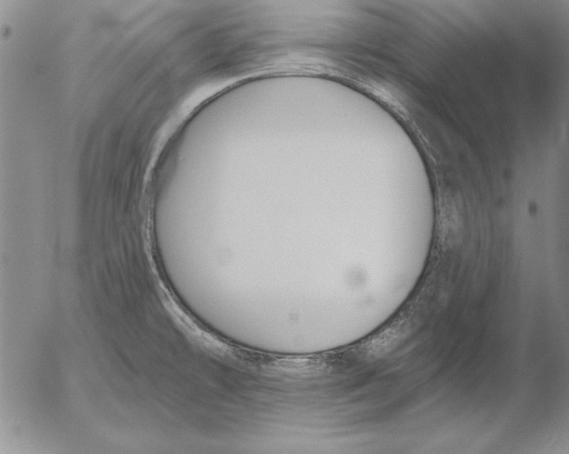 X0000053001478200507291630