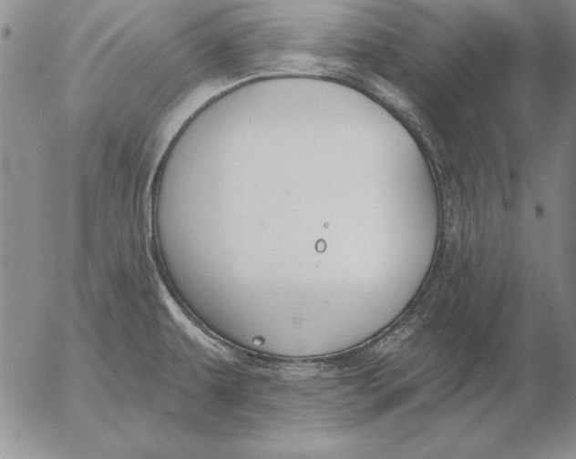 X0000053001479200507291630