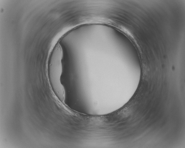 X0000053001480200507291630