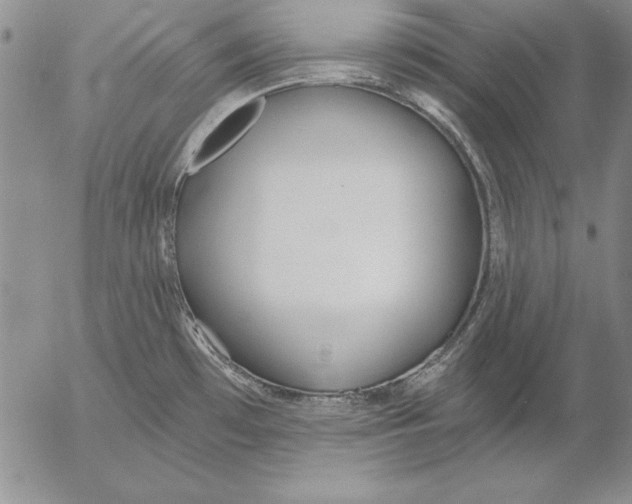 X0000053001481200507291630