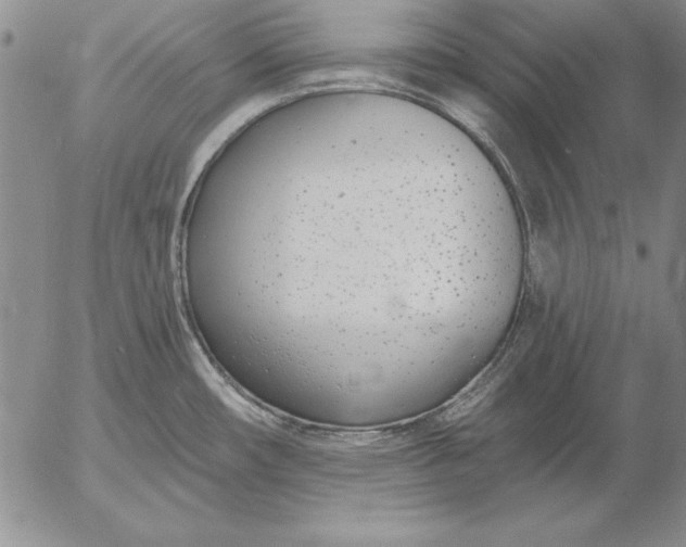 X0000053001482200507291630