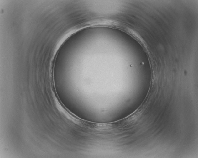 X0000053001483200507291629