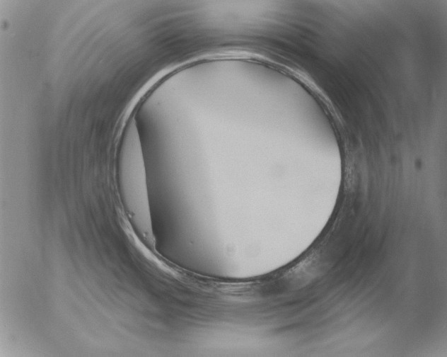 X0000053001484200507291629