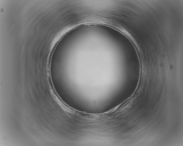 X0000053001485200507291629