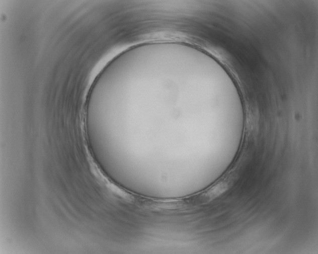 X0000053001486200507291629