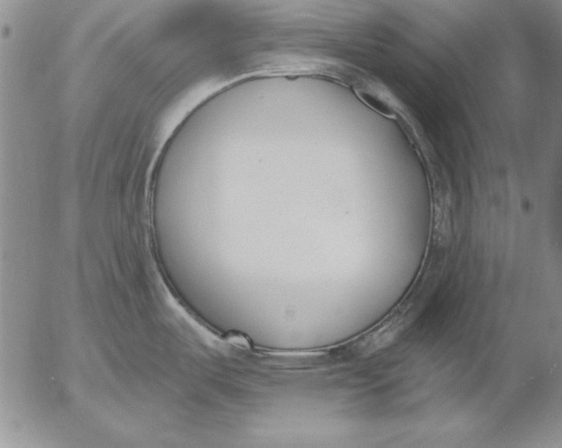 X0000053001487200507291629