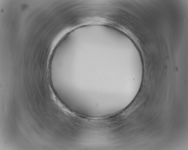 X0000053001488200507291629