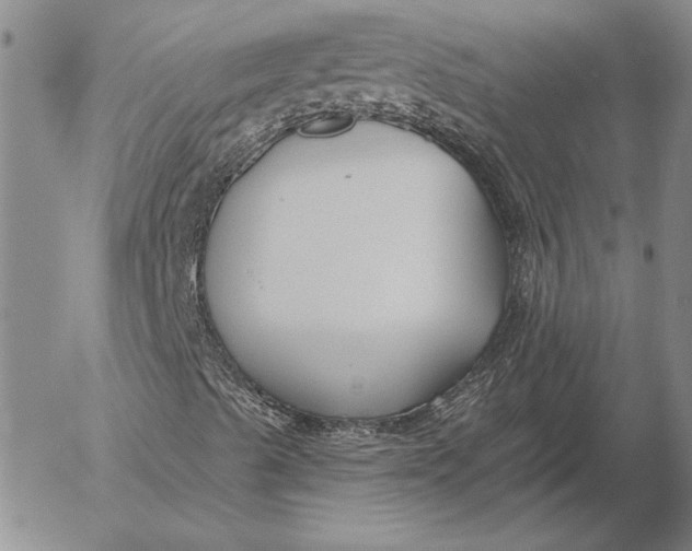 X0000053001489200507291629