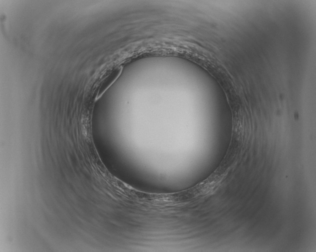 X0000053001490200507291629